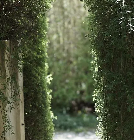 Гостевой дом La Cour Du Marronnier