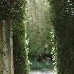 Affittacamere La Cour Du Marronnier