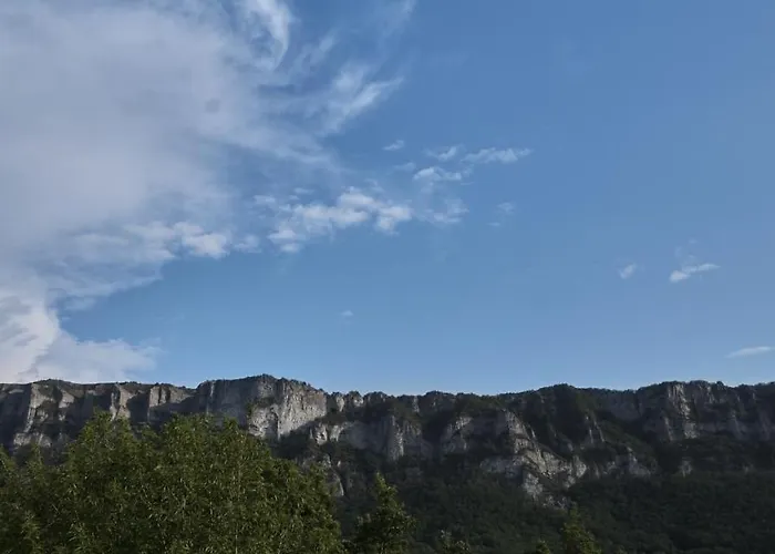 La Cour Du Marronnier