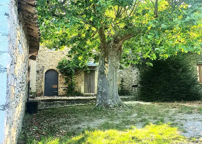 La Cour Du Marronnier